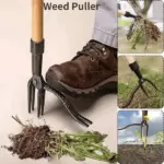 2025 New Detachable Stand Up Weed Puller