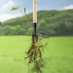 2025 New Detachable Stand Up Weed Puller - Image 6